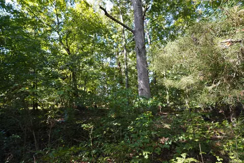 Exterior - 4561 Babb Rd, Greer, SC 29651 photo 10 of 11