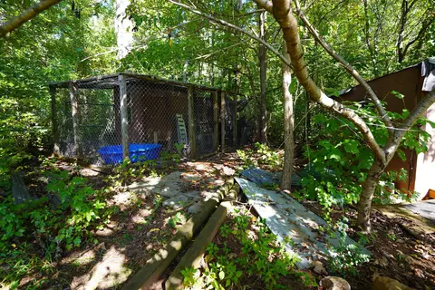 Exterior - 4561 Babb Rd, Greer, SC 29651 photo 6 of 11