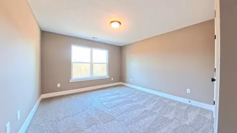 236 Red Hawk Dr, Campobello, SC 29322 photo 12