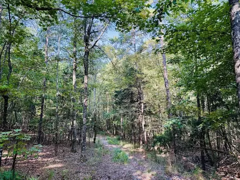 1123 Forneyville Rd, York, SC 29745