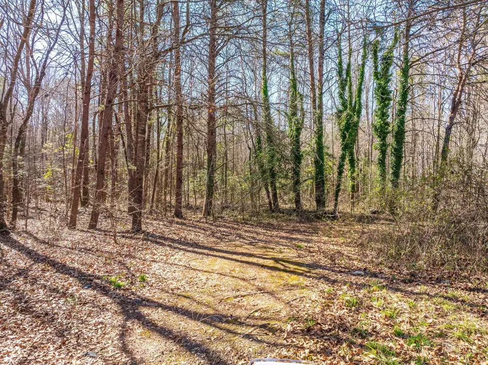 0 Brown Sanders Rd, Spartanburg, SC 29307 photo 1