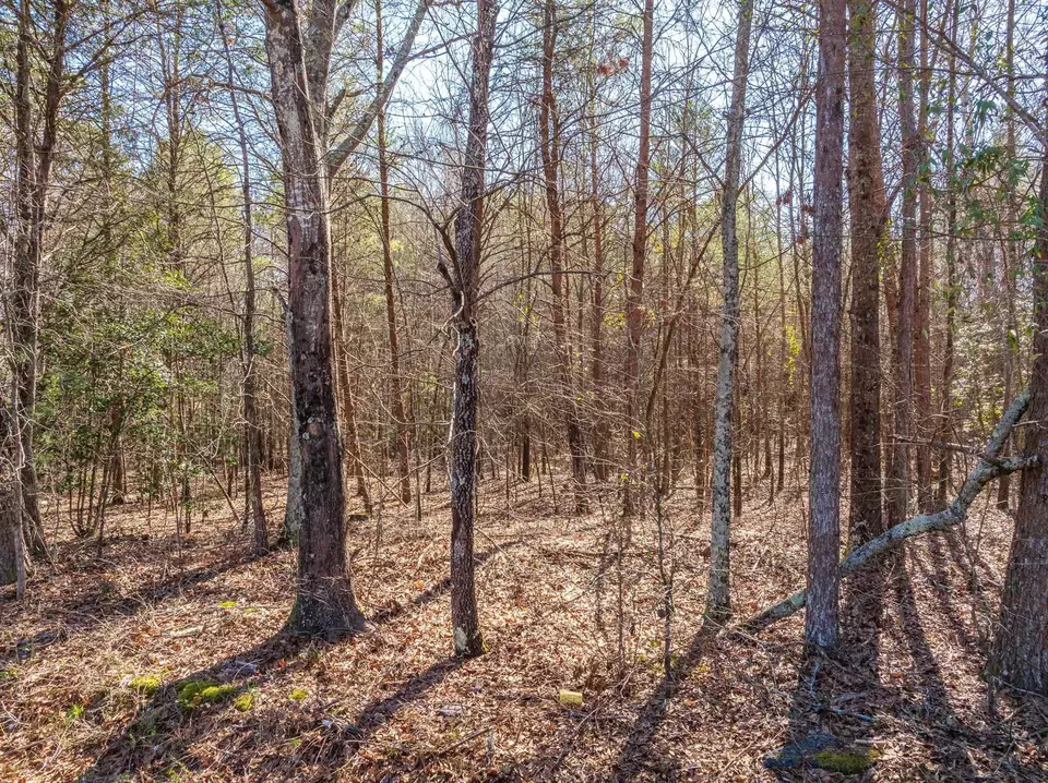  0 Brown Sanders Rd, Spartanburg, SC 29307 photo 3