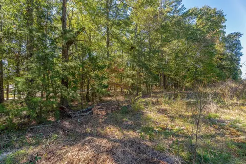 5 Cardinal Drive, Lyman, SC 29365 photo 14