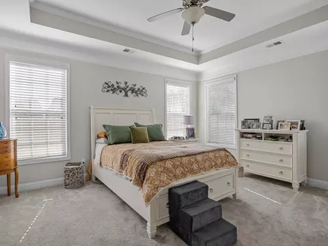 310 Drizzle Ct, Duncan, SC 29334 photo 26