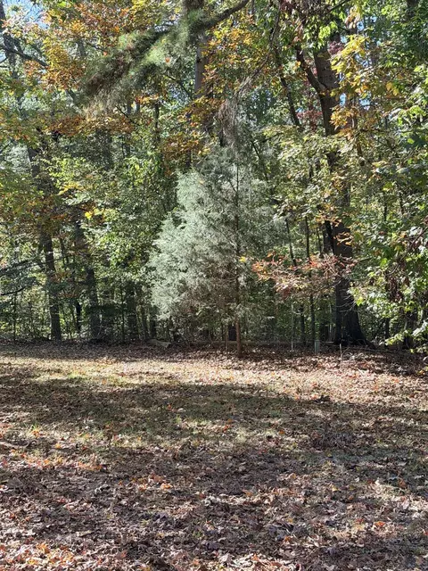 Lake Whelchel Drive, Gaffney, SC 29341