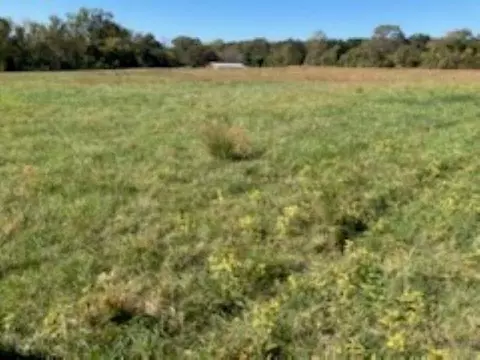 0 Cudd Dr, Chesnee, SC 29323 photo 5