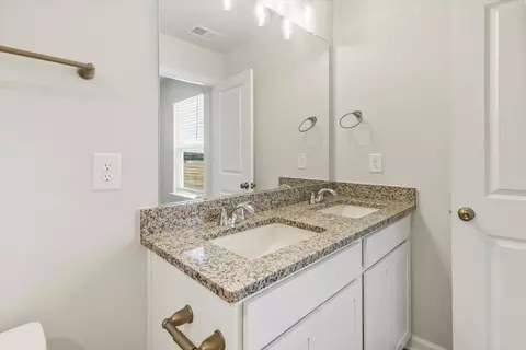 Bath - 161 Randwick Ln, Greer, SC 29651 photo 3 of 6