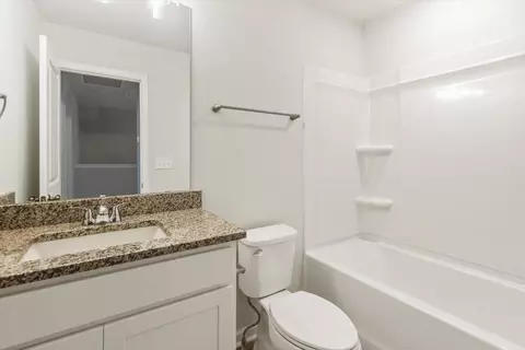 Bath - 161 Randwick Ln, Greer, SC 29651 photo 5 of 6