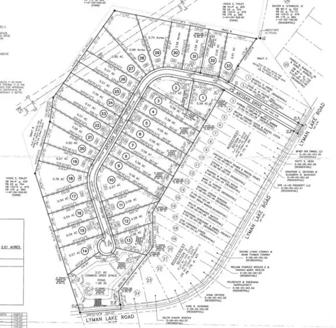 View/Area - 250 Artisan Dr, Lyman, SC 29365 photo 3 of 3