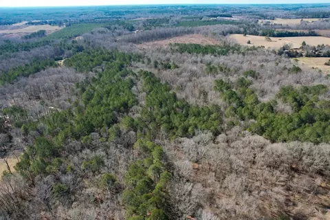 0 Gene Fleming Rd, Iva, SC 29655 photo 17