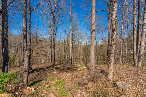 5 Bagwell Pl, Spartanburg, SC 29302