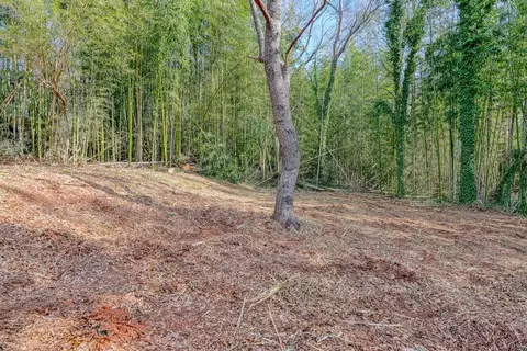 115 May St, Easley, SC 29640 photo 29