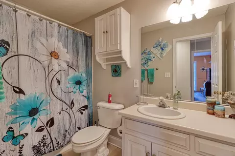 Bath - 227 Saddlebrook Dr, Moore, SC 29369 photo 1 of 4