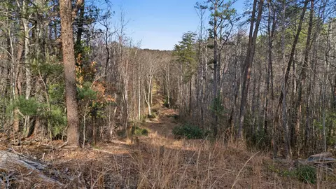 0 Hooker Rd, Tryon, NC 28782 photo 11