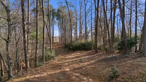0 Hooker Rd, Tryon, NC 28782 photo 10