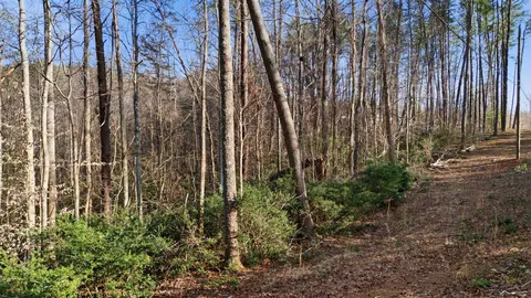 0 Hooker Rd, Tryon, NC 28782 photo 13