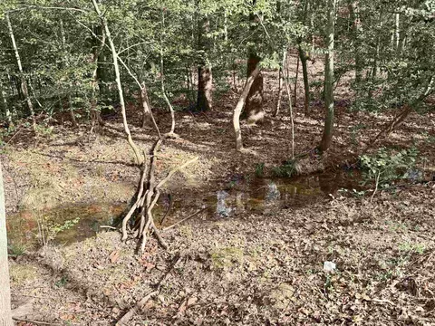 View/Area - 121 Mill Pond Rd, Easley, SC 29642 photo 1 of 1