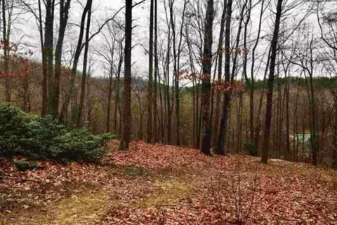 20 Windswept Ln, Travelers Rest, SC 29690