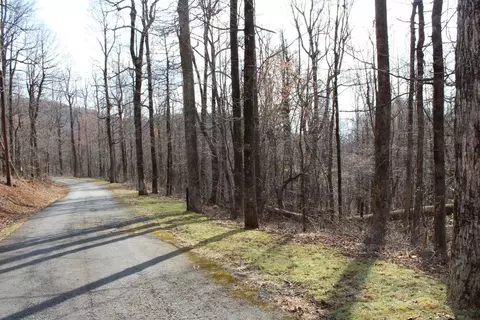 lot20 Sunset Ridge Dr, Columbus, NC 28722