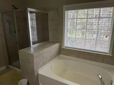 Bath - 3685 Travertine Dr, Lancaster, SC 29720 photo 4 of 8