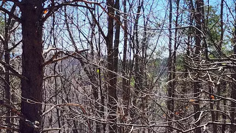 320 Foggy Cut Ln, Landrum, SC 29356