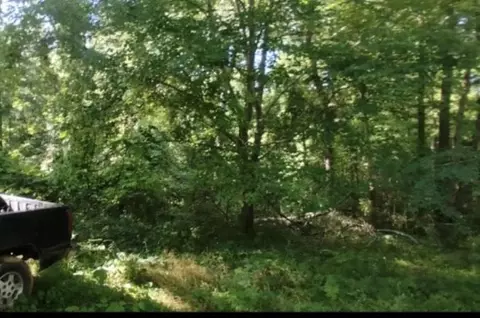 231 Bird St, Union, SC 29379 photo 3