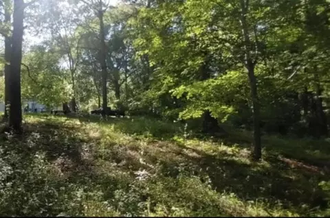 231 Bird St, Union, SC 29379 photo 4