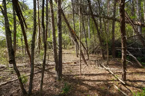 0 Cantrell Dr, Chesnee, SC 29323 photo 11