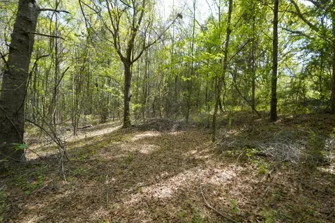 0 Cantrell Dr, Chesnee, SC 29323 photo 5