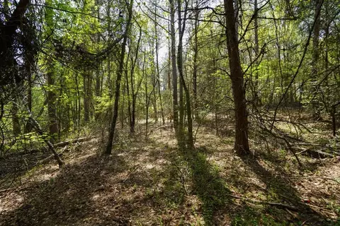 0 Cantrell Dr, Chesnee, SC 29323 photo 7