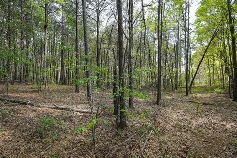 0 Cantrell Dr, Chesnee, SC 29323 photo 27