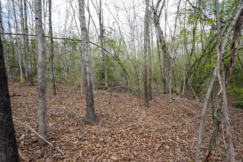 0 Cantrell Dr, Chesnee, SC 29323 photo 21