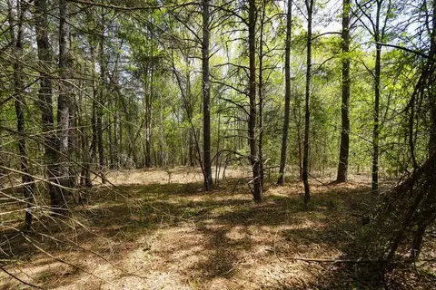 0 Cantrell Dr, Chesnee, SC 29323 photo 6