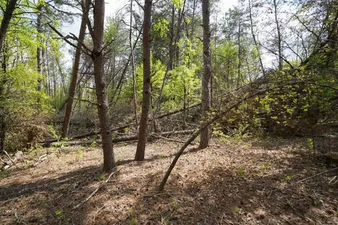0 Cantrell Dr, Chesnee, SC 29323 photo 9
