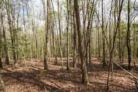0 Cantrell Dr, Chesnee, SC 29323 photo 25