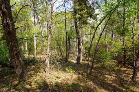 0 Cantrell Dr, Chesnee, SC 29323 photo 10