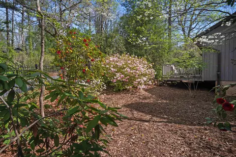 Exterior - 335 Melrose Ave, Tryon, NC 28782 photo 9 of 17