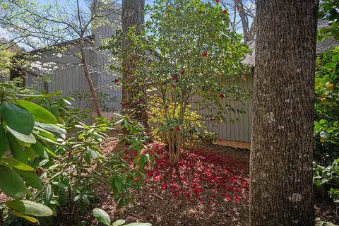 Exterior - 335 Melrose Ave, Tryon, NC 28782 photo 8 of 17