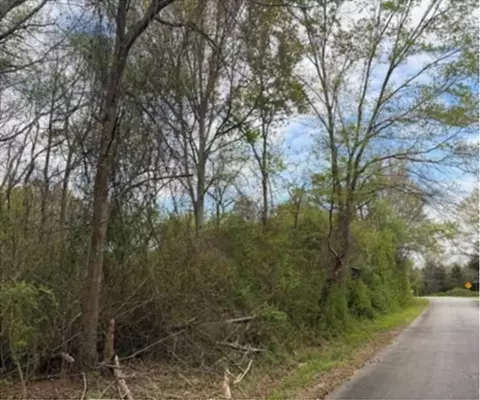 Augusta Road, Pelzer, SC 29669 photo 2