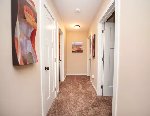 Entry Way - 223 Sweetgrass Dr, Chesnee, SC 29323 photo 3 of 3