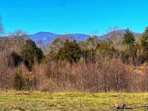 00 Cockrell Rd, Greer, SC 29651 photo 9