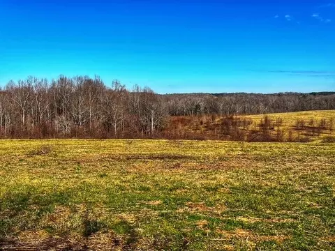00 Cockrell Rd, Greer, SC 29651 photo 5