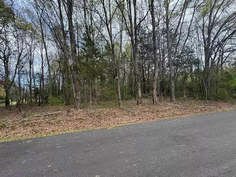0 Cedar Cir, Chesnee, SC 29323 photo 3