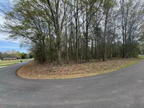 0 Cedar Cir, Chesnee, SC 29323 photo 5