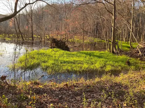 1609 Country Estates Rd, Inman, SC 29349