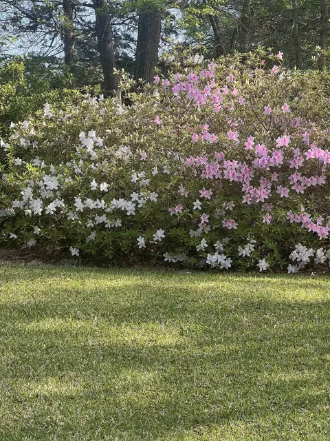 Exterior - 310 Meathward Cir, Moore, SC 29369 photo 11 of 14
