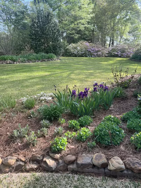 Exterior - 310 Meathward Cir, Moore, SC 29369 photo 14 of 14