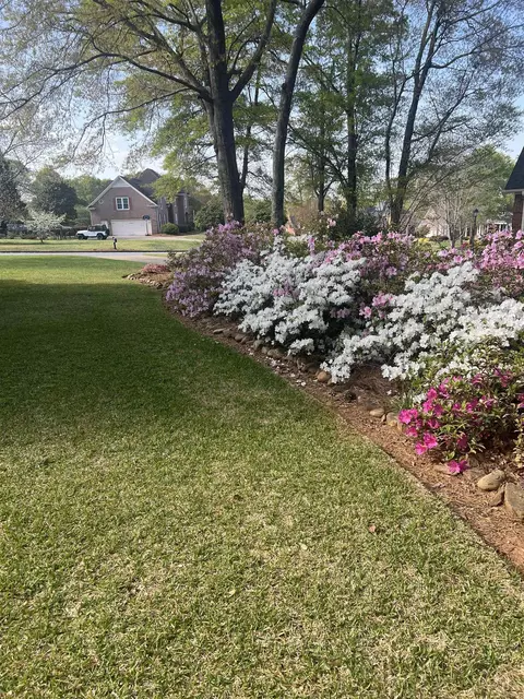 Exterior - 310 Meathward Cir, Moore, SC 29369 photo 12 of 14