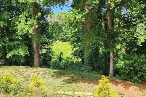 344 Endless Dr, Greer, SC 29651 photo 30