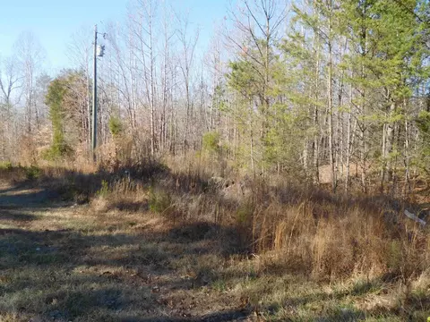tbd Leadmine Rd, Gaffney, SC 29340 photo 2